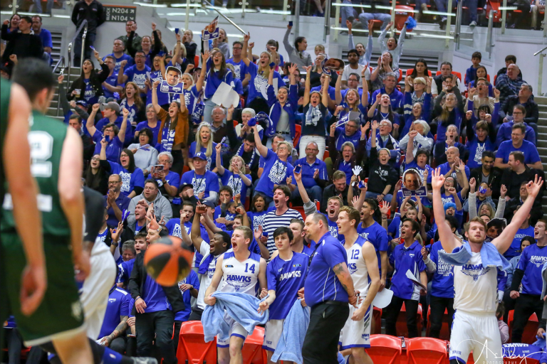 Hawks Photo Galleries