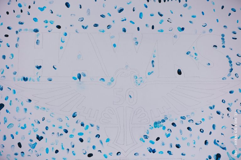 Hawks Launch 50 Year Artwork