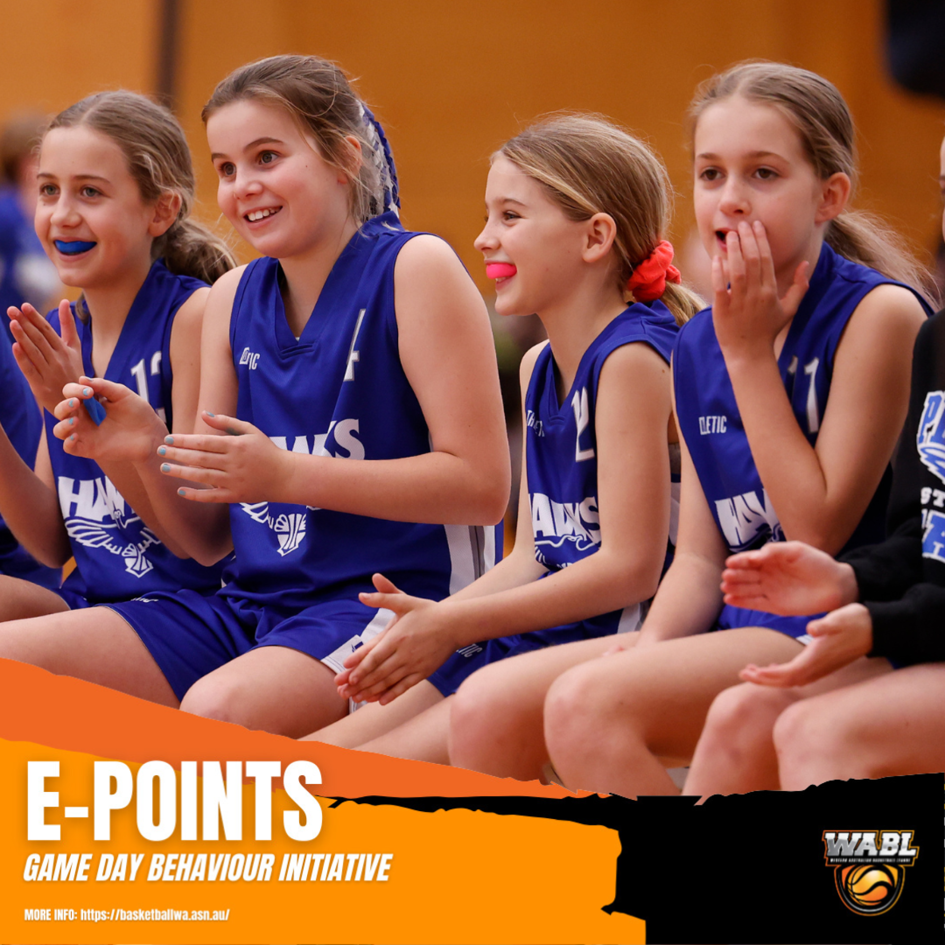 WABL E-Point System - Perry Lakes